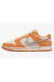 Dunk Low Safari Swoosh Sneaker NDD SPORT