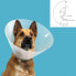 Elizabethan Dog Collar KVP Quick Fit Transparent (27-31 cm)