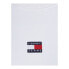 Tommy Hilfiger DW0DW17325YBR