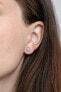 Silver earrings AGUP1663S