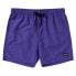 MYSTIC Brand Swimming Shorts