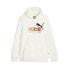 Puma Essentials Multicolor Pullover Hoodie Mens White Casual Outerwear 67717165