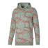 Худи PUMA Essential Lab Graphic Pullover Green