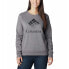 COLUMBIA Trek™ Graphic sweatshirt