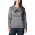 Фото #1 товара COLUMBIA Trek™ Graphic sweatshirt