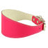 Фото #1 товара YOUPET Greyhound 35x5 cm Dog Collar