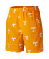 Фото #1 товара Men's Tennessee Orange Tennessee Volunteers Big and Tall Backcast Shorts