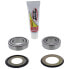 Фото #1 товара PIVOT WORKS Honda Cr 125 R 90-92/250 R 90-91/500 R 90-04/Xr 650R 00-07 Steering Bearing Kit