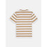 ფოტო #4 პროდუქტის DICKIES Rivergrove short sleeve T-shirt