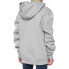 Фото #2 товара 100percent Essential hoodie