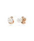 Swan, Black, Rose Gold-Tone Iconic Swan Stud Earrings