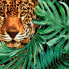 Drucken Leopard im Dschungel