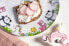 Фото #5 товара Детский набор посуды LEONARDO Bambini Einhorn / Panda / Flamingo для девочек 3-х предметный