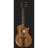 Фото #2 товара Taylor 914ce Special Edition Sinker R