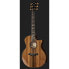 Taylor 914ce Special Edition Sinker R