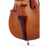 Gewa Germania 11 Prag Antik Cello