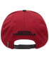 Фото #3 товара Men's Cardinal Arizona Cardinals Hometown Snapback Hat