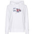 Фото #1 товара TOMMY HILFIGER Regular Motion Flag hoodie