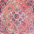 Orientteppich - 295 x 200 cm - rosa