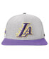 Men's Gray, Purple Los Angeles Lakers Classic Logo Two-Tone Snapback Hat