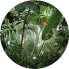 Фото #1 товара selbstklebende runde Tapete tropische Ds