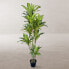 Фото #6 товара Искусственное декоративное растение BB Home Полиуретан Цемент 180 см