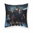 Фото #1 товара Чехол для подушки Harry Potter Goblet of Fire Чёрный 50 x 50 cm