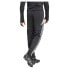 Фото #3 товара ADIDAS Tiro 24 Winterized tracksuit pants