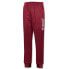 Фото #2 товара JOMA Suez Polyfleece pants