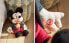 Фото #9 товара Children’s mickey mouse © disney musical soft toy