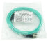 Фото #2 товара BlueOptics SFP3333EU0.5MK - 0.5 m - OM3 - ST - ST