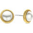 Ladies' Earrings Ti Sento 7923YP