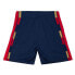 Фото #2 товара Mens Mitchell & Ness NBA AUTHENTIC SHORTS - CLEVELAND CAVALIERS 08