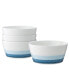 Фото #1 товара Colorscapes Layers Cereal Bowl Set/4