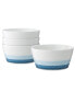 Colorscapes Layers Cereal Bowl Set/4