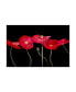 Фото #1 товара Sandra Iafrate Dramatic Poppies Canvas Art - 37" x 49"