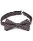 ფოტო #5 პროდუქტის Men's Mardi Gras Stripe Bow Tie