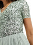 Maya Bridesmaid short sleeve maxi tulle dress with tonal delicate sequins in sage green