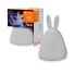 Ledvance Rabbit - Freestanding - Boy/Girl - Battery