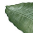 Фото #4 товара Поднос Зеленый Лист растения 31 x 18 cm