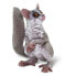 SAFARI LTD Bush Baby Figure