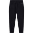 Фото #2 товара HACKETT Aston Martin Storm Joggers