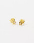 Фото #4 товара Kingsley Ryan gold plated cut out star stud earrings in gold