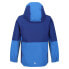 Фото #4 товара REGATTA Hydrate VIII 3 In 1 jacket