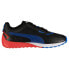 PUMA BMW Mms Speedfusion trainers