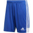 Фото #1 товара Adidas Tastigo 19 Shorts M DP3682 shorts