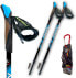 Фото #1 товара Fizan Speed Swift Hiking Poles and Nordic Walking