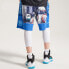 Шорты BadFive Trendy Clothing Casual Shorts AAPQ241-4