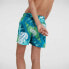 Фото #6 товара SPEEDO Printed 13´´ Swimming Shorts