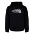 Фото #1 товара THE NORTH FACE Drew Peak hoodie